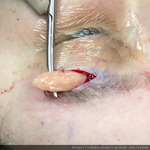 IMG_3915.jpg IMG_3915.jpg