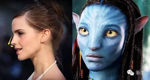 妳的國產臉條件能做Y型鼻（Y字眉心）嗎？和y鼻根有何不同？A