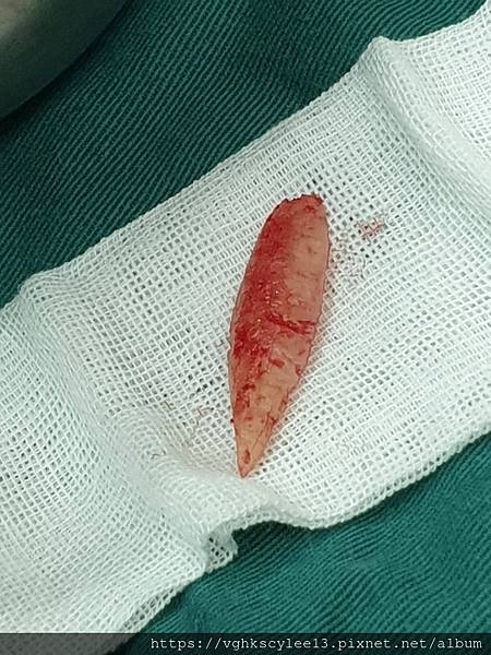 IMG_0558.jpg IMG_0558.jpg