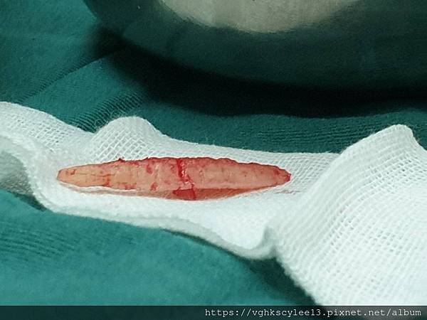 IMG_0559.jpg IMG_0559.jpg