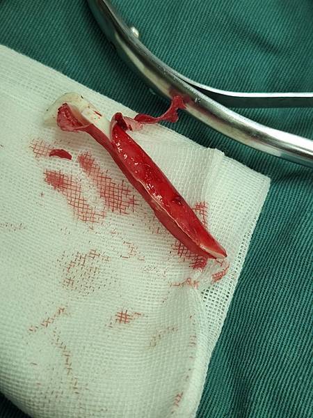 /tmp/phpYmaImd /tmp/phpYmaImd