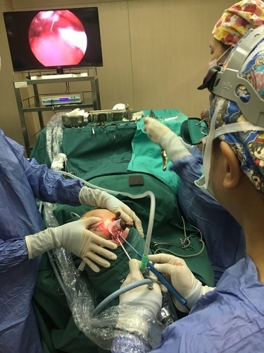 IMG_7548.JPG - 墊額頭